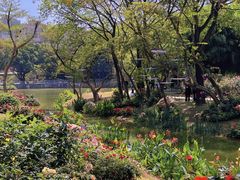 -人民公园(罗湖区)