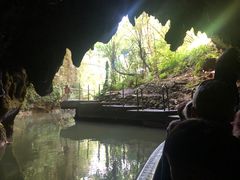 -怀托摩萤火虫洞