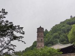 -王天顺海苔饼