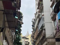 -柠檬车露(卖草地店)