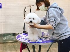 -PETKIT小佩宠物(古北店)