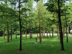 -晓港公园