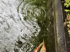 -太子园林酒家