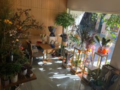 -蝶舍·MAISON PAPILLON