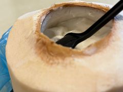 -志龙皇冠吃货椰子铺