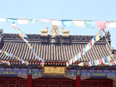 -安多素食(广仁寺路店)