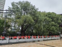 -绳金塔