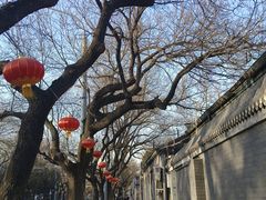 -老北京炸酱面·京味菜(西花市店)