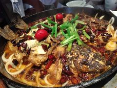 -老板恋上鱼(高新万达店)