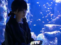 -海合安武汉极地海洋公园