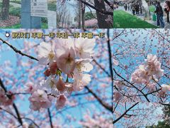 -静安雕塑公园