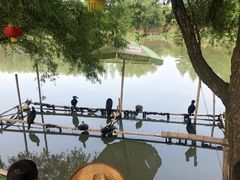 -长兴太湖图影湿地文化园