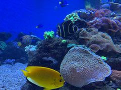 -成都浩海立方海洋公园