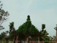 -武汉紫薇都市田园