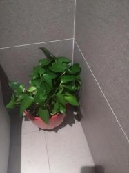-永琪护肤造型