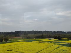 -中国天府农业博览园