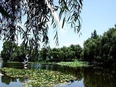 -三圣花乡旅游区