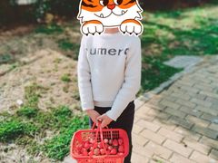 -胜丰草莓采摘园