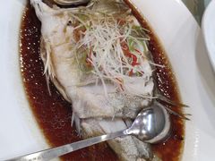 清蒸鳜鱼-烤肉宛饭庄(北新桥店)