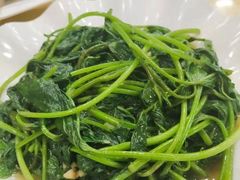 传统地瓜叶-春园海鲜广场D区6号(钟姐海鲜加工店)