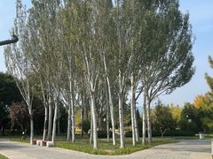-北坞公园