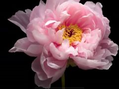 -回龙观体育文化公园