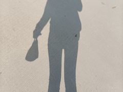-田心森林公园