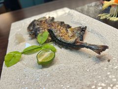 -黑松白鹿(金融街店)