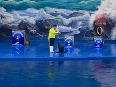 -多彩贵州城极地海洋世界