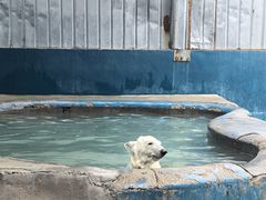 -泉城欧乐堡海洋极地世界