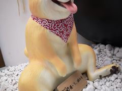 -小杨生煎(湟普汇店)