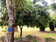 -中国科学院西双版纳热带植物园