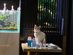 -玥汐·3D影院式足道SPA(万泰城店)