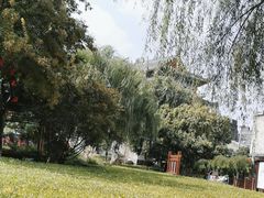 -开封城墙景区