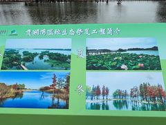 -贡湖湾湿地公园