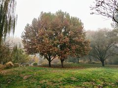 -仁和公园(顺义区)