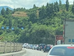 -武陵山森林公园