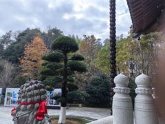 -刘伯温故里景区百丈漈