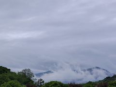 -上甘棠村