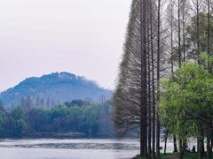 -柯岩风景区