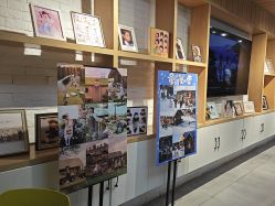 -猴公子儿童摄影(严选商家店)