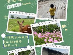 -良渚古城遗址公园