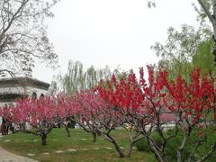 -团结湖公园