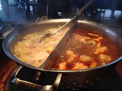-鼎王麻辣锅(七贤店)