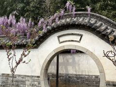-戚继光故里