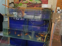 -袁小二大东北铁锅炖(吉祥村总部)