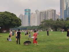 -万绿园