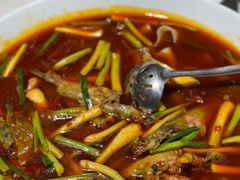 -院8里·小聚园老川菜(九眼桥店)