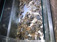 -欢乐牧场海鲜烤肉自助(牡丹园店)