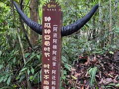 -西双版纳基诺山寨